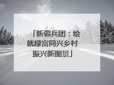 新疆兵团：绘就绿富同兴乡村振兴新图景