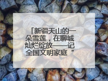 新疆天山的一朵雪莲，在聊城灿烂绽放——记全国文明家庭“詹春芳家庭”