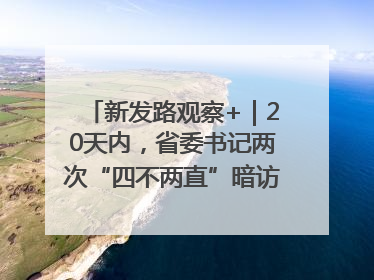 新发路观察+｜20天内，省委书记两次“四不两直”暗访，有何深意？