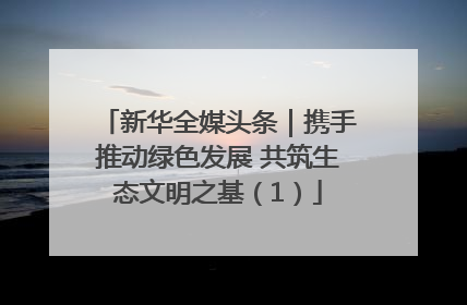新华全媒头条｜携手推动绿色发展 共筑生态文明之基（1）