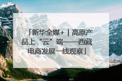 新华全媒+｜高原产品上“云”端——西藏电商发展一线观察