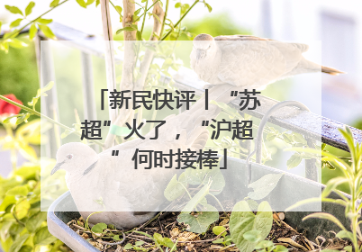 新民快评丨“苏超”火了，“沪超”何时接棒
