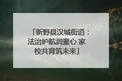 新野县汉城街道：法治护航润童心 家校共育筑未来