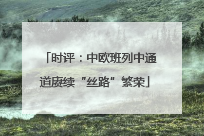 时评：中欧班列中通道赓续“丝路”繁荣