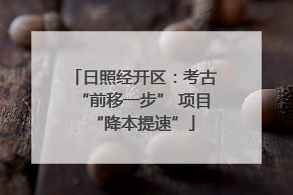 日照经开区：考古“前移一步” 项目“降本提速”