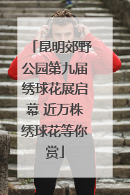 昆明郊野公园第九届绣球花展启幕 近万株绣球花等你赏