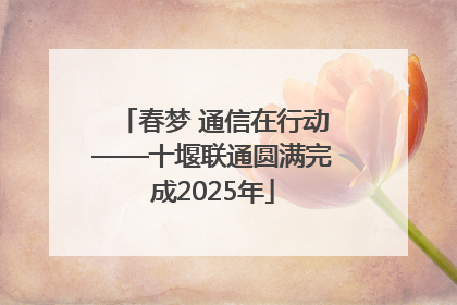 春梦 通信在行动——十堰联通圆满完成2025年