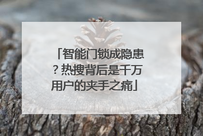 智能门锁成隐患？热搜背后是千万用户的夹手之痛