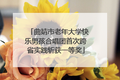 曲靖市老年大学快乐男孩合唱团首次跨省实践斩获一等奖