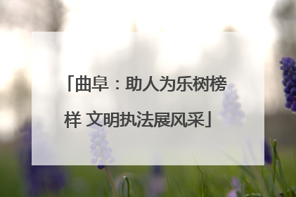 曲阜：助人为乐树榜样 文明执法展风采