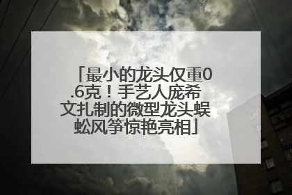 最小的龙头仅重0.6克！手艺人庞希文扎制的微型龙头蜈蚣风筝惊艳亮相