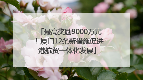 最高奖励9000万元！厦门12条新措施促进港航贸一体化发展
