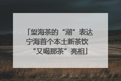 望海茶的“潮”表达 宁海首个本土新茶饮“又喝那茶”亮相