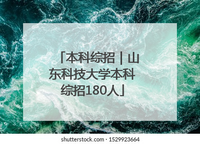 本科综招｜山东科技大学本科综招180人