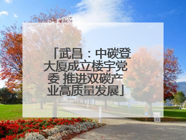武昌：中碳登大厦成立楼宇党委 推进双碳产业高质量发展