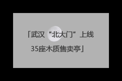 武汉“北大门”上线35座木质售卖亭