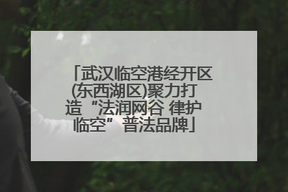 武汉临空港经开区(东西湖区)聚力打造“法润网谷 律护临空”普法品牌