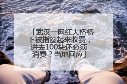 武汉一网红大桥桥下被指圈起来收费，进去100块还必须消费？当地回应