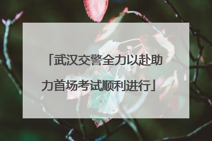武汉交警全力以赴助力首场考试顺利进行