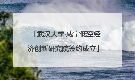 武汉大学·咸宁低空经济创新研究院签约成立