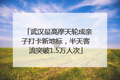 武汉最高摩天轮成亲子打卡新地标，半天客流突破1.5万人次