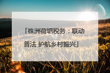 株洲荷塘税务：联动普法 护航乡村振兴