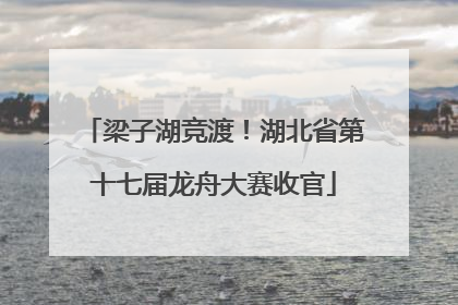 梁子湖竞渡！湖北省第十七届龙舟大赛收官