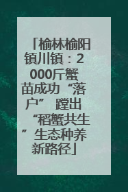 榆林榆阳镇川镇：2000斤蟹苗成功“落户” 蹚出“稻蟹共生”生态种养新路径