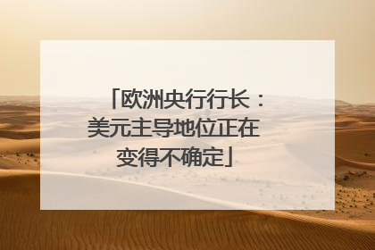 欧洲央行行长：美元主导地位正在变得不确定