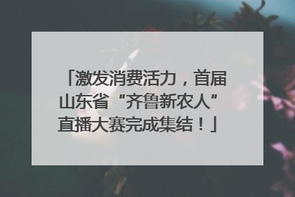 激发消费活力，首届山东省“齐鲁新农人”直播大赛完成集结！