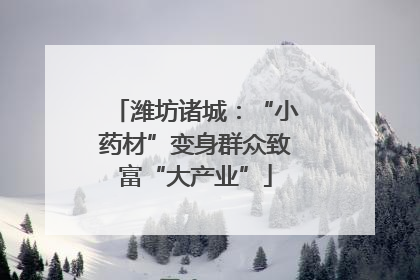 潍坊诸城：“小药材”变身群众致富“大产业”