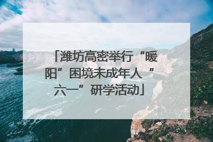 潍坊高密举行“暖阳”困境未成年人“六一”研学活动