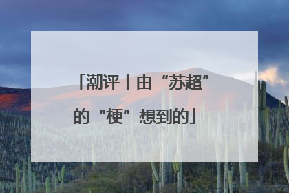 潮评丨由“苏超”的“梗”想到的