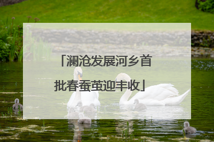 澜沧发展河乡首批春蚕茧迎丰收