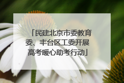 民建北京市委教育委、丰台区工委开展高考暖心助考行动