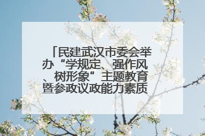 民建武汉市委会举办“学规定、强作风、树形象”主题教育暨参政议政能力素质提升培训班