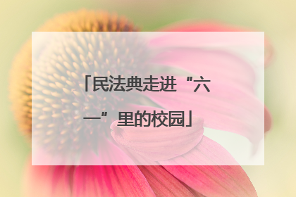 民法典走进“六一”里的校园