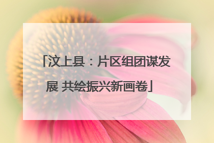 汶上县：片区组团谋发展 共绘振兴新画卷