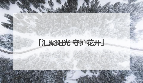 汇聚阳光 守护花开