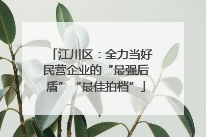 江川区：全力当好民营企业的“最强后盾”“最佳拍档”