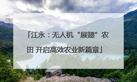 江永：无人机“展翅”农田 开启高效农业新篇章