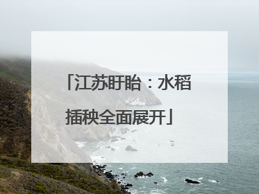 江苏盱眙：水稻插秧全面展开