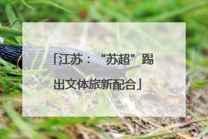 江苏：“苏超”踢出文体旅新配合