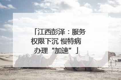 江西彭泽：服务权限下沉 慢特病办理“加速”