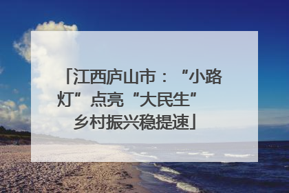 江西庐山市：“小路灯”点亮“大民生” 乡村振兴稳提速