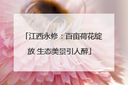江西永修：百亩荷花绽放 生态美景引人醉
