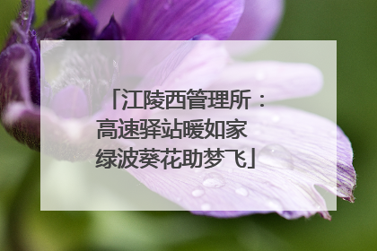 江陵西管理所：高速驿站暖如家 绿波葵花助梦飞
