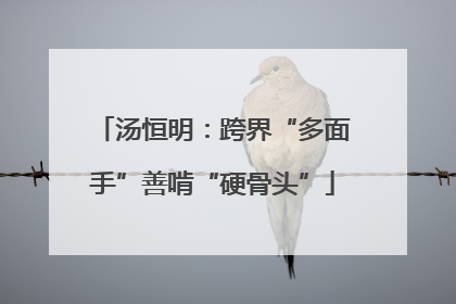 汤恒明：跨界“多面手”善啃“硬骨头”