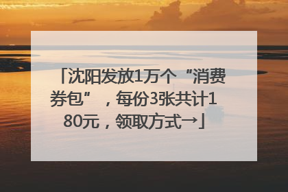 沈阳发放1万个“消费券包”，每份3张共计180元，领取方式→