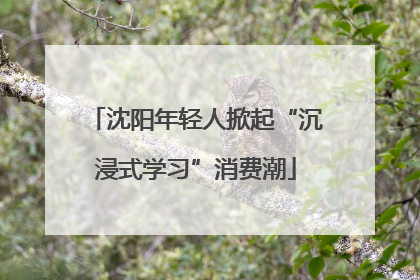 沈阳年轻人掀起“沉浸式学习”消费潮
